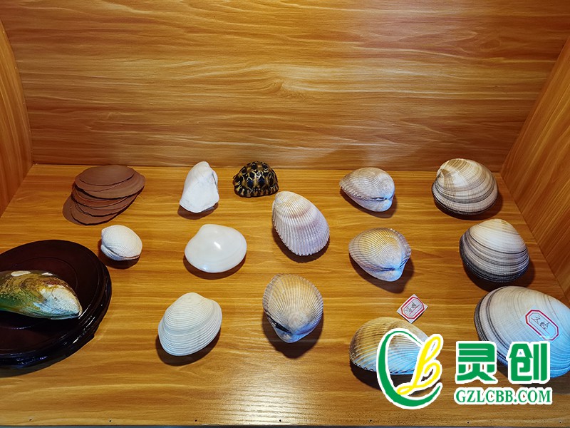 貝類標本